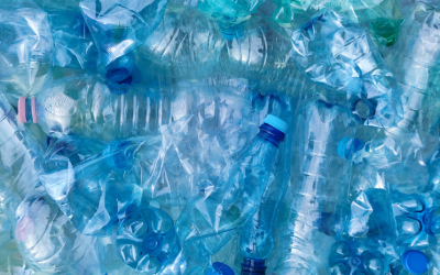 Which Bin Does It Go In? 5 Things You Didn’t Realize Can Be Recycled