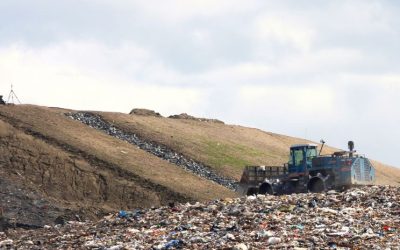Sustainable Waste Management: How Small Changes Make a Big Impact